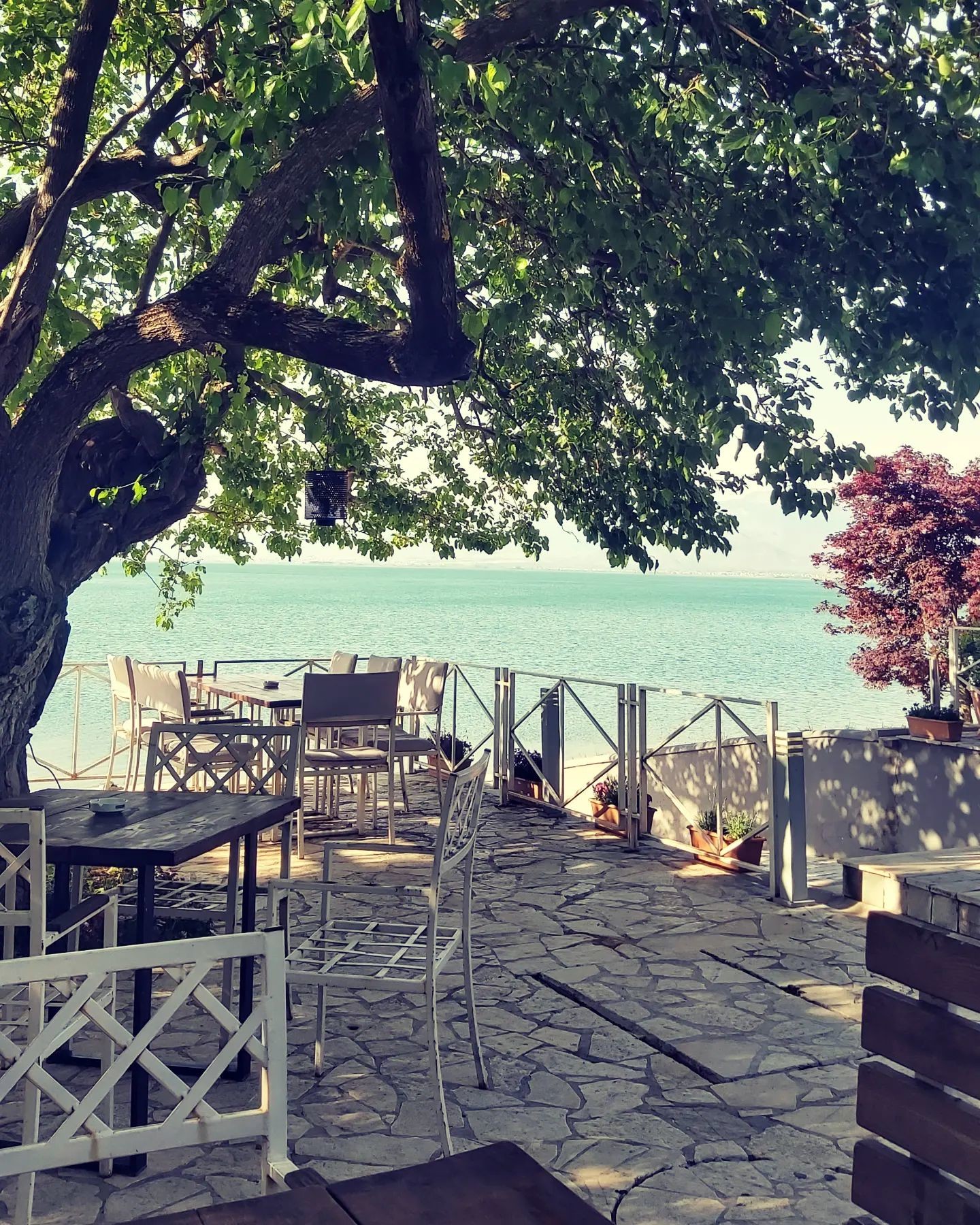 B7 Zogaj Around Shkodra Lake Shkodra Shkodra